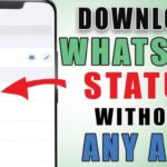 WhatsApp Status